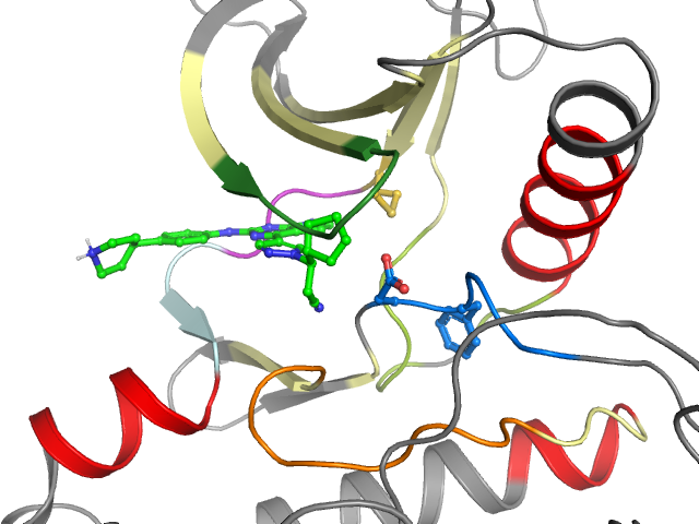 The orthosteric binding pocket