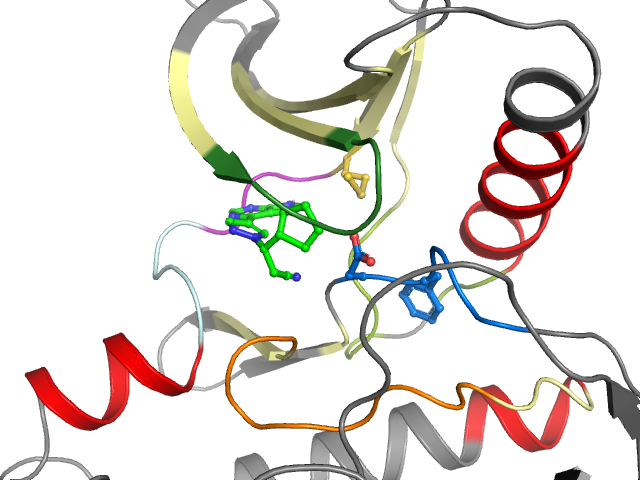 The orthosteric binding pocket