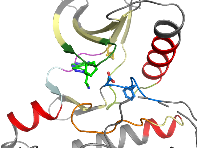 The orthosteric binding pocket