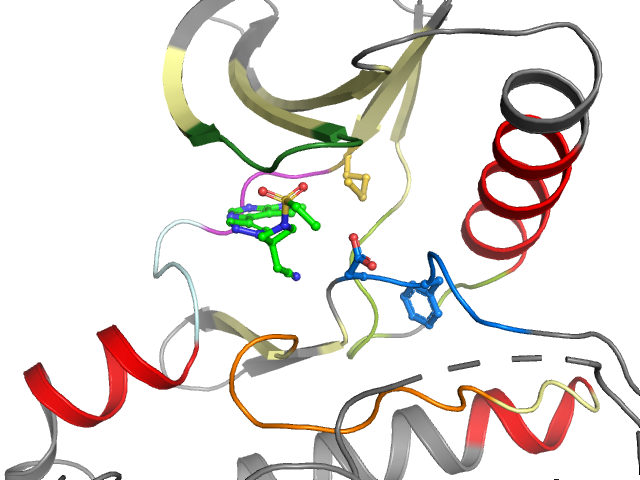The orthosteric binding pocket