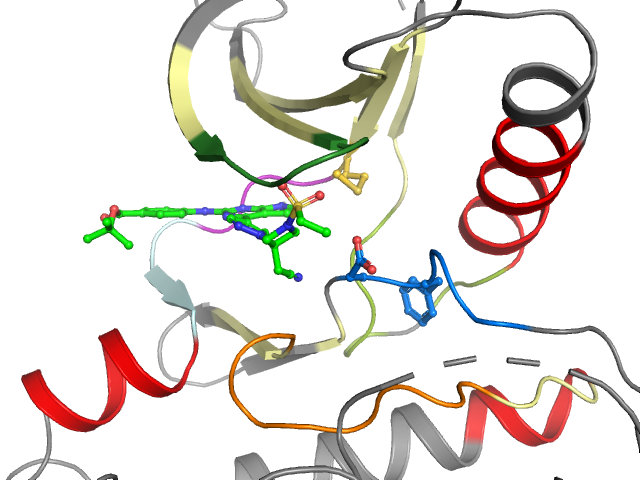 The orthosteric binding pocket