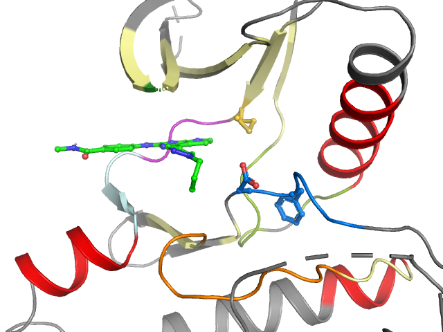 The orthosteric binding pocket