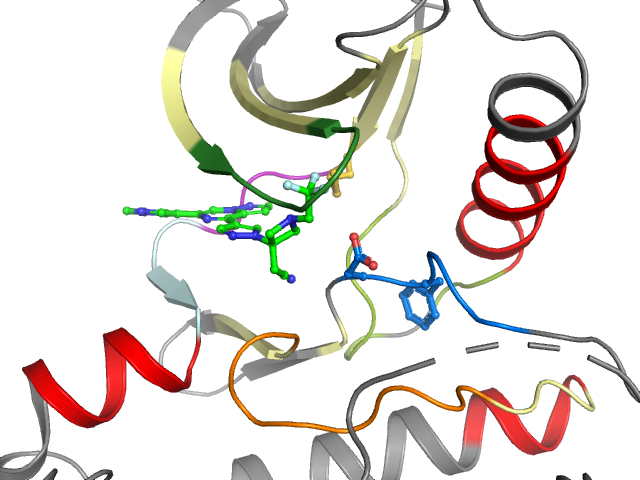 The orthosteric binding pocket