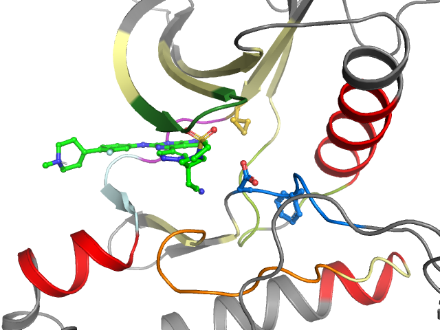 The orthosteric binding pocket