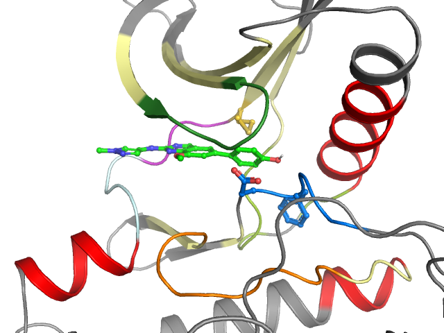 The orthosteric binding pocket