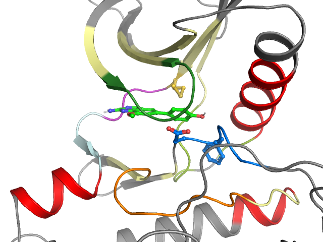 The orthosteric binding pocket