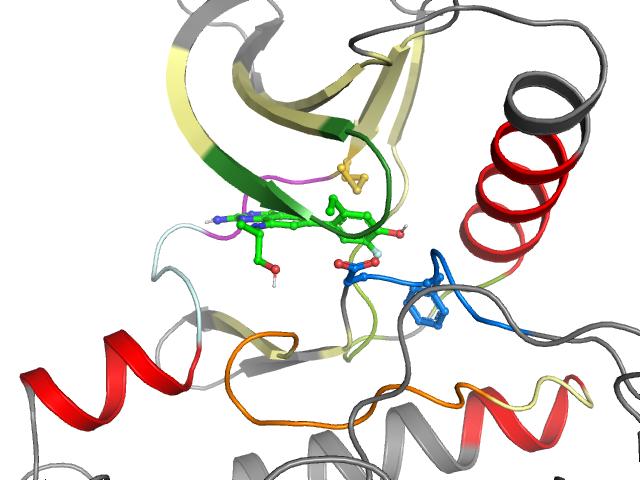 The orthosteric binding pocket