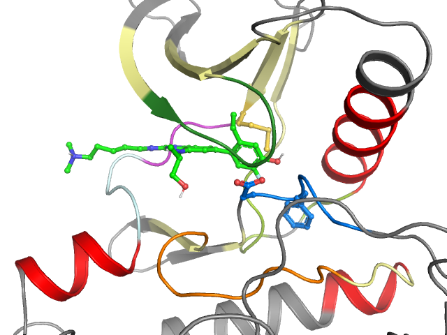 The orthosteric binding pocket