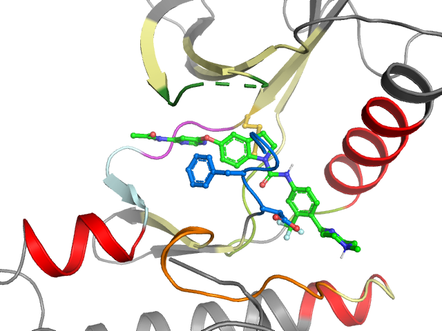 The orthosteric binding pocket