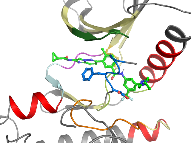 The orthosteric binding pocket