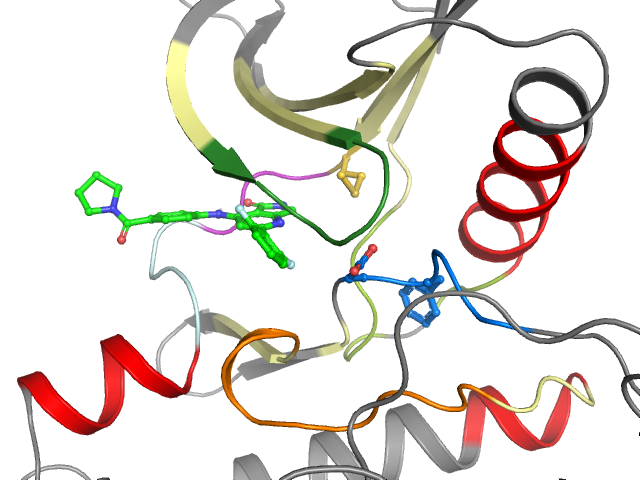 The orthosteric binding pocket
