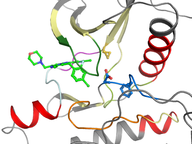 The orthosteric binding pocket