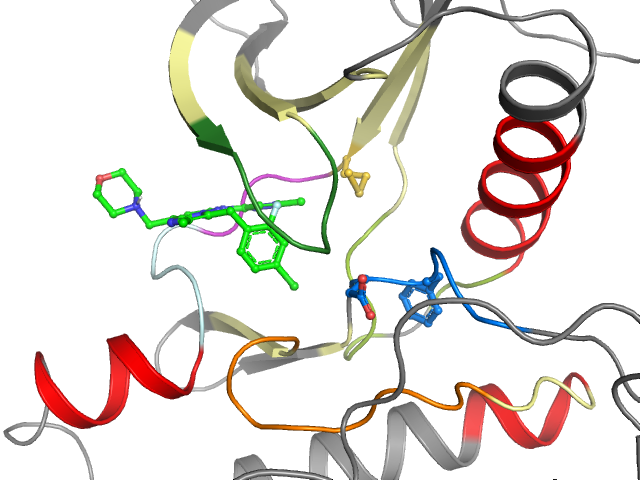The orthosteric binding pocket
