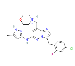 2D structure of the orthosteric ligand