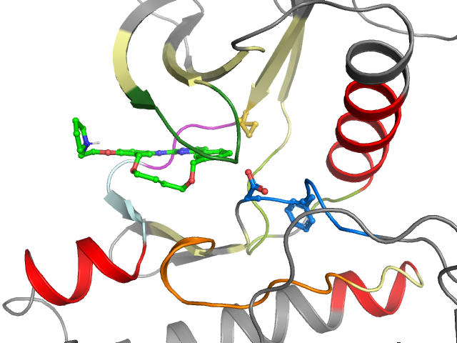 The orthosteric binding pocket