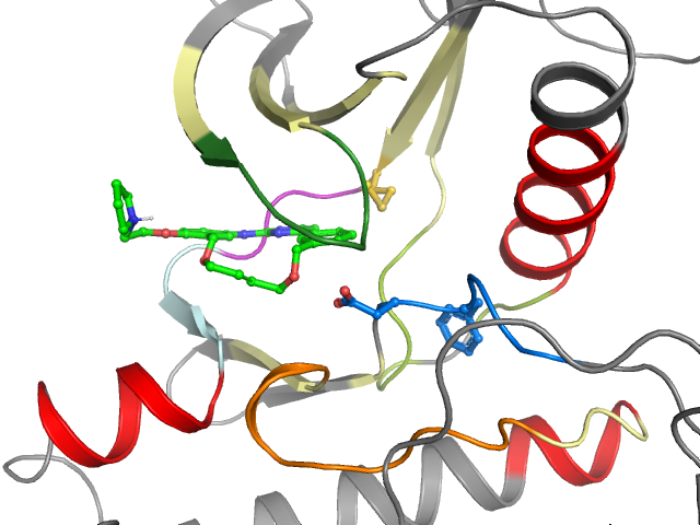 The orthosteric binding pocket
