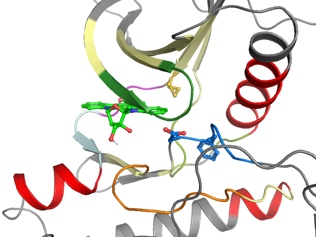 The orthosteric binding pocket