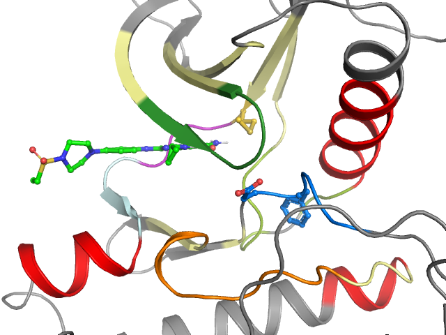 The orthosteric binding pocket