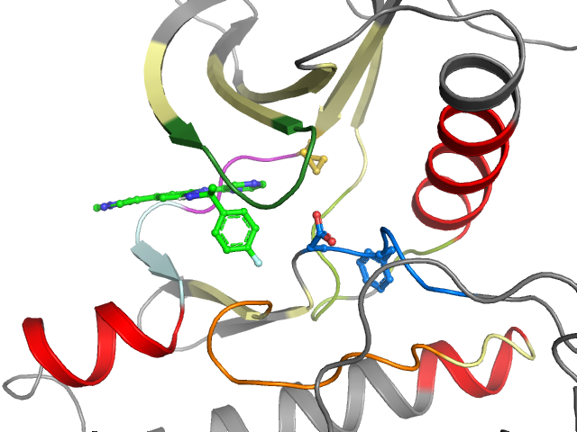 The orthosteric binding pocket