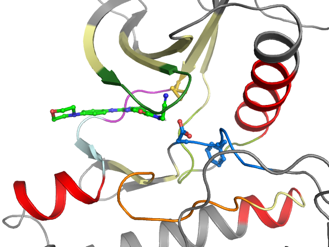 The orthosteric binding pocket