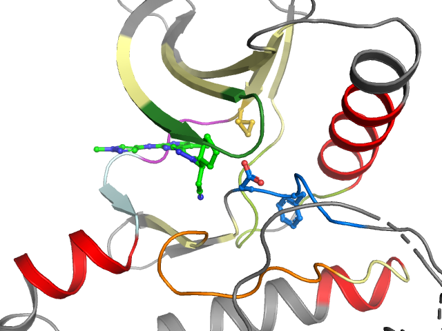 The orthosteric binding pocket