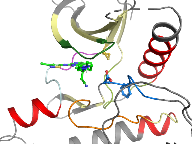 The orthosteric binding pocket