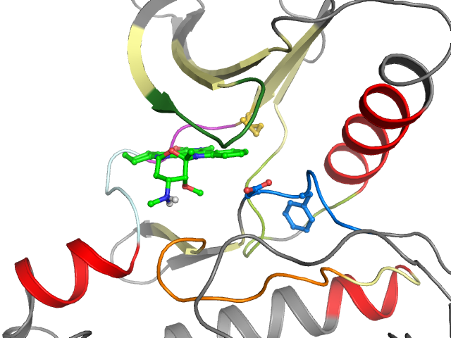 The orthosteric binding pocket