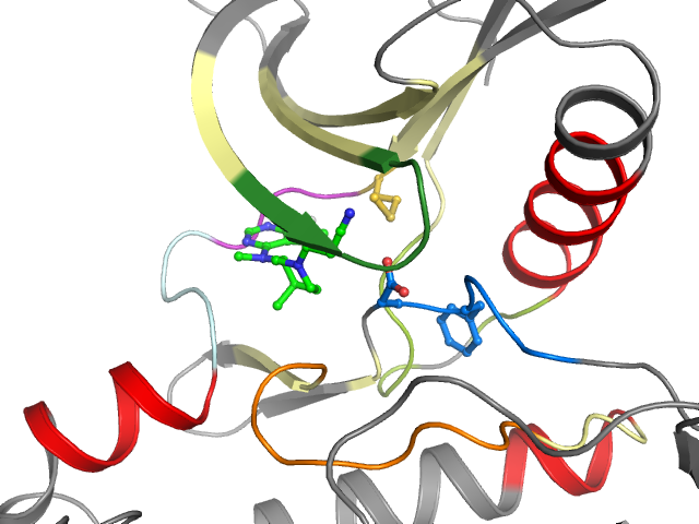The orthosteric binding pocket