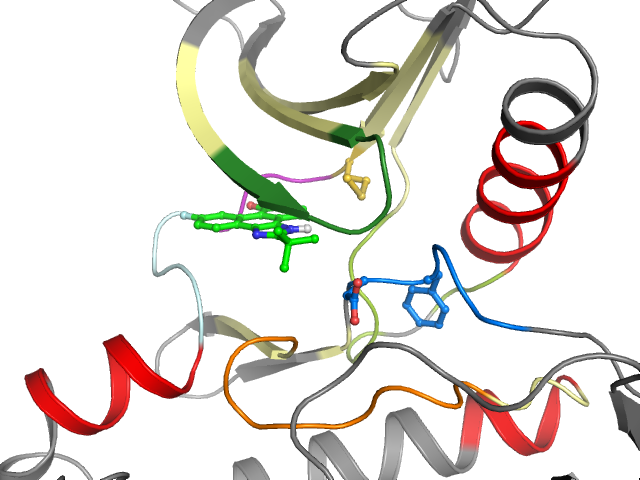 The orthosteric binding pocket