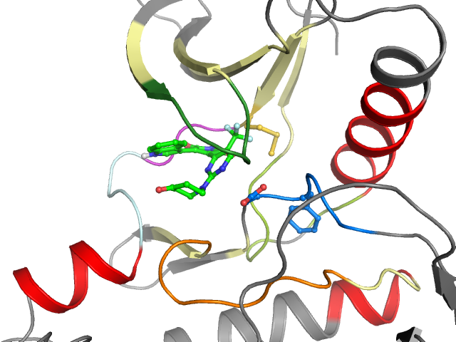 The orthosteric binding pocket