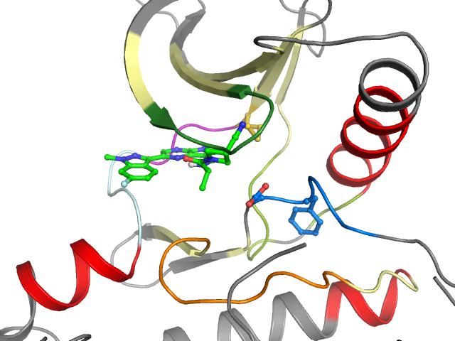 The orthosteric binding pocket