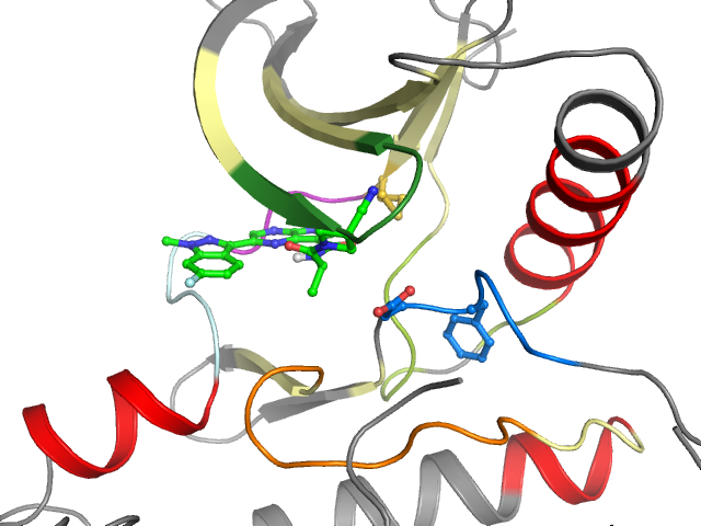 The orthosteric binding pocket