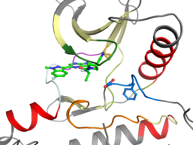 The orthosteric binding pocket