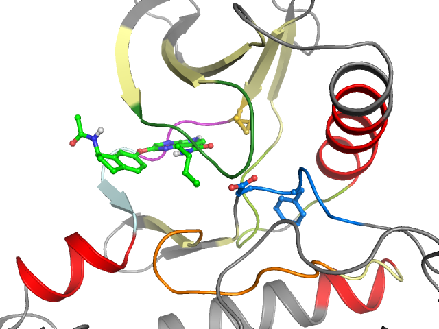 The orthosteric binding pocket