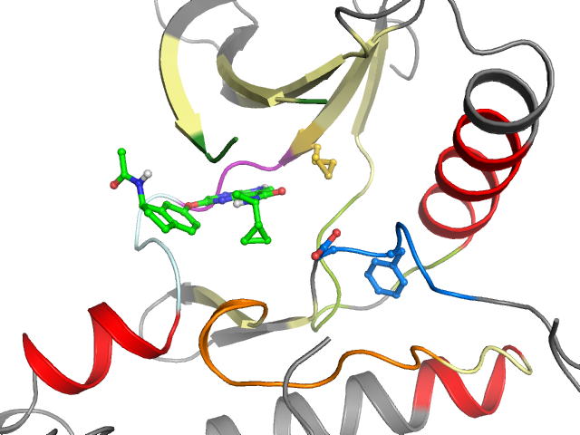 The orthosteric binding pocket