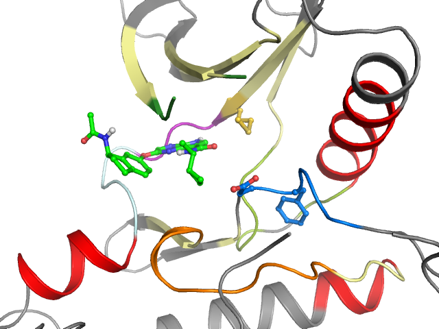The orthosteric binding pocket