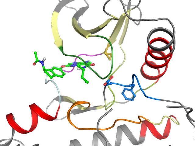 The orthosteric binding pocket