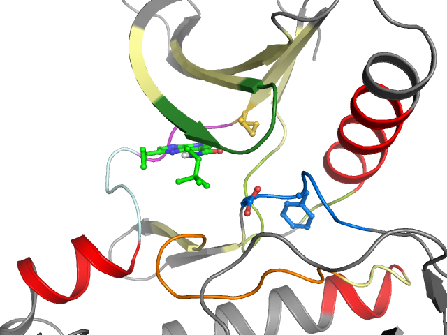 The orthosteric binding pocket