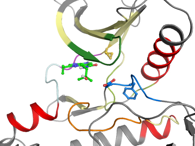 The orthosteric binding pocket