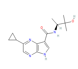 2D structure of the orthosteric ligand