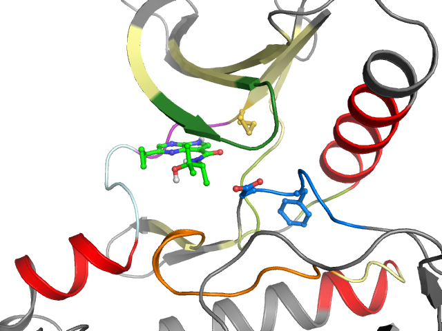 The orthosteric binding pocket