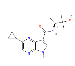 2D structure of the orthosteric ligand