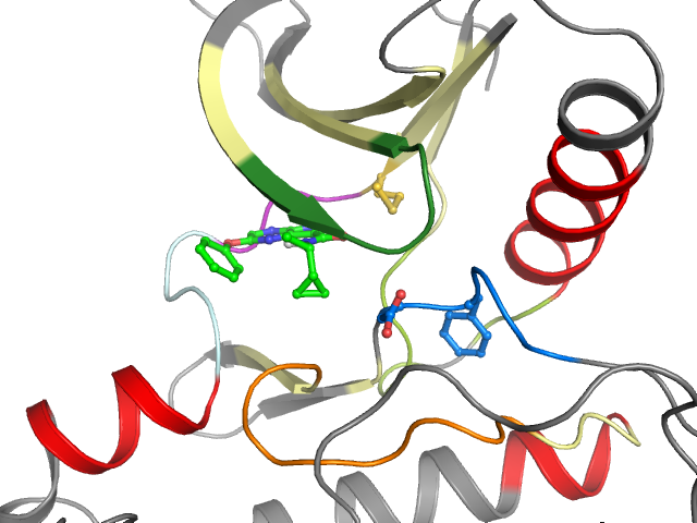 The orthosteric binding pocket