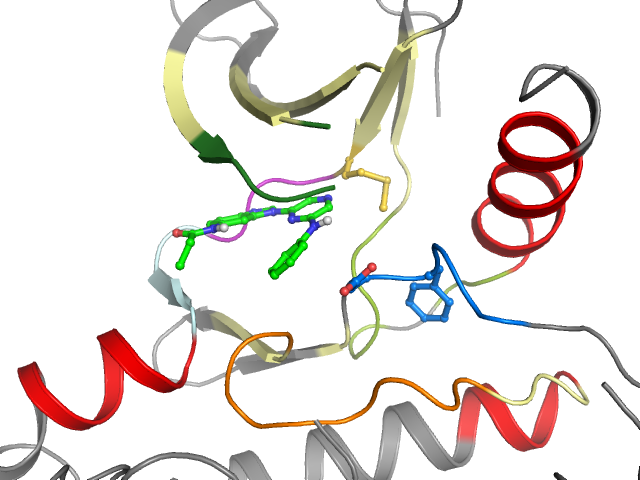 The orthosteric binding pocket