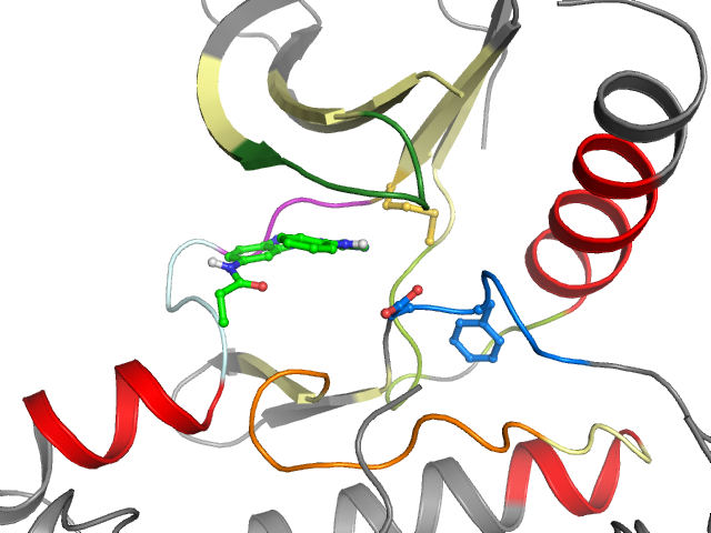 The orthosteric binding pocket