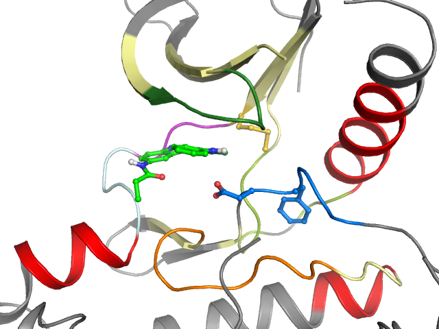 The orthosteric binding pocket