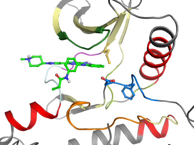 The orthosteric binding pocket