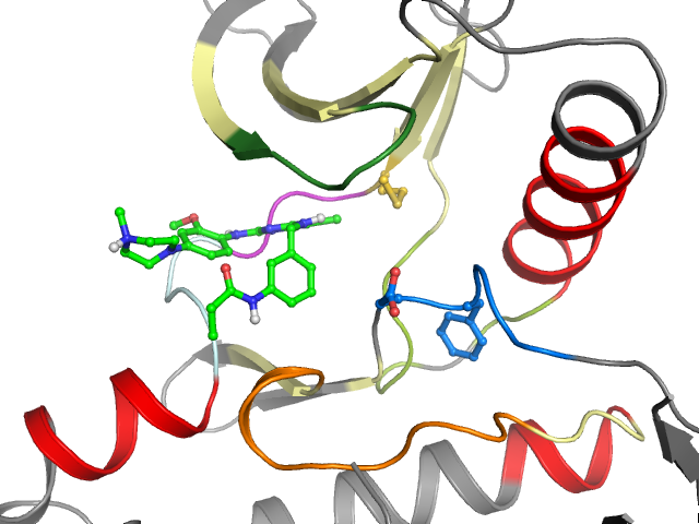 The orthosteric binding pocket