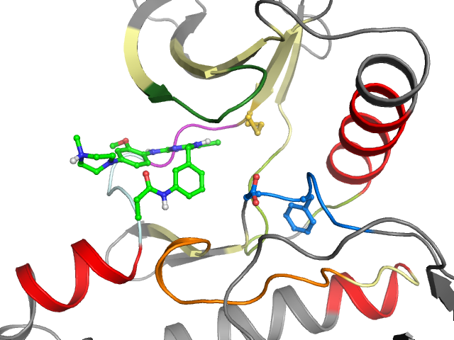 The orthosteric binding pocket