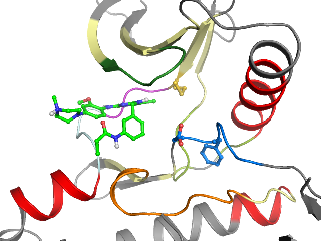 The orthosteric binding pocket